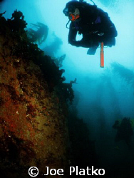 My friend checking out a rock wall near the Breakwater in... by Joe Platko 
